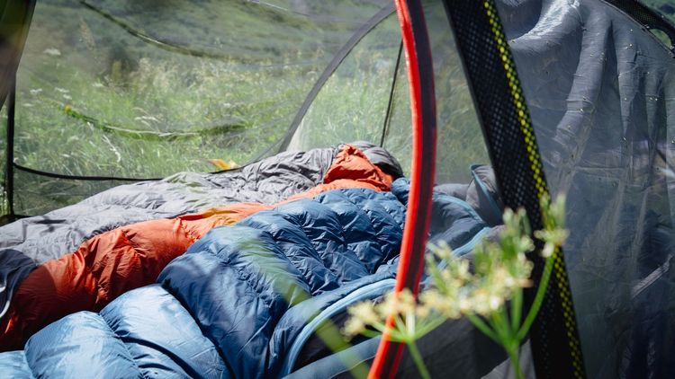 Camping dédié